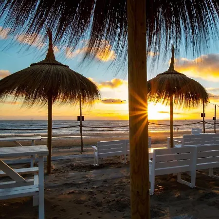 Cozy Tiny House Egmond Aan Zee- 500m From Beach-north Sea Holiday home