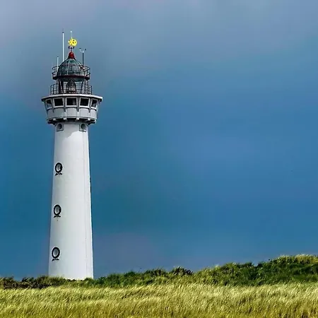 בית נופש Cozy Tiny House Egmond Aan Zee- 500m From Beach-north Sea אגמונד אן זי