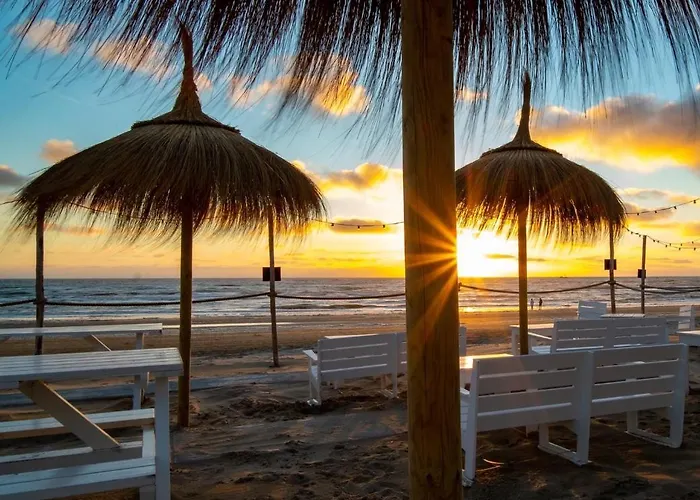 Cozy Tiny House Egmond Aan Zee- 500m From Beach-north Sea בית נופש