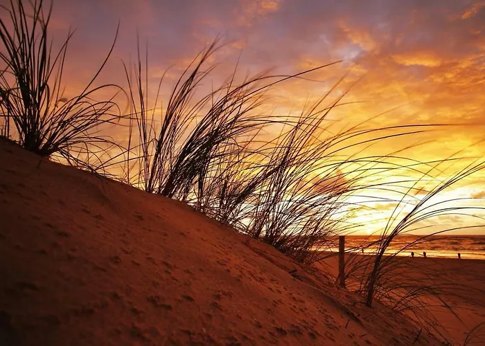 Cozy Tiny House Egmond Aan Zee- 500m From Beach-north Sea בית נופש *