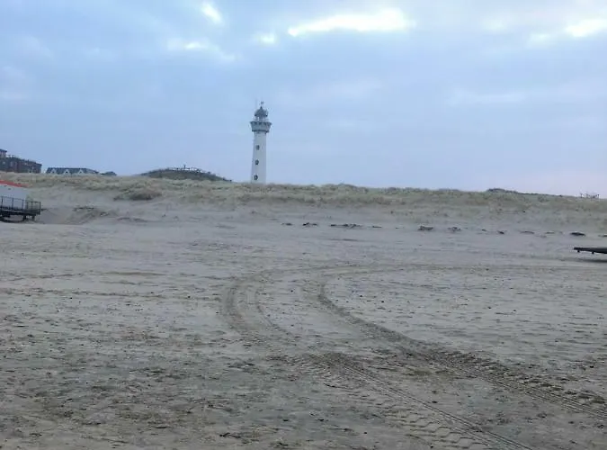 Cozy Tiny House Egmond Aan Zee- 500m From Beach-north Sea בית נופש *