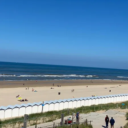 Semesterbostad Cozy Tiny House Egmond Aan Zee- 500m From Beach-north Sea Egmond aan Zee