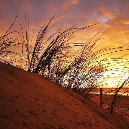 Cozy Tiny House Egmond Aan Zee- 500m From Beach-north Sea Semesterbostad *