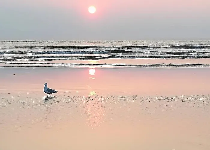 Casa vacanze Cozy Tiny House Egmond Aan Zee- 500m From Beach-north Sea